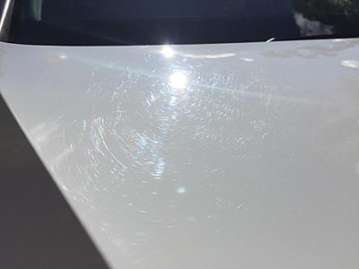 New car paint defects-img_8990-jpg