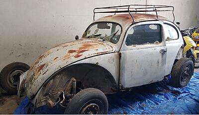 Project Type 82e - '55 Beetle Base - Bringing Back this Bug to Life :-)-small-new-view-jpg