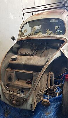 Project Type 82e - '55 Beetle Base - Bringing Back this Bug to Life :-)-front-car-small-jpg